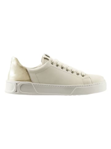 Högl Leren sneakers "Noa" crème/goudkleurig