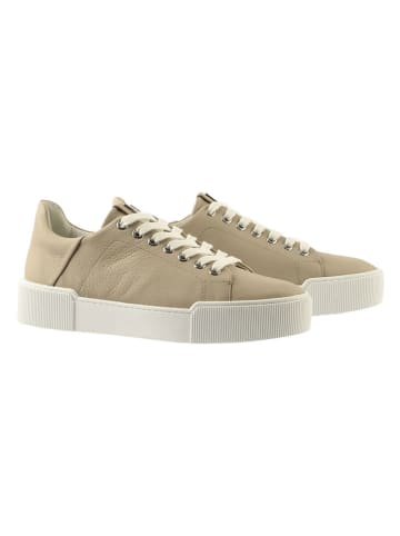 Högl Leder-Sneakers "Blade" in Hellbraun