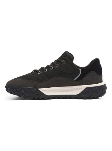 Timberland Leder-Sneakers "Green Stride Motion 6" in Anthrazit