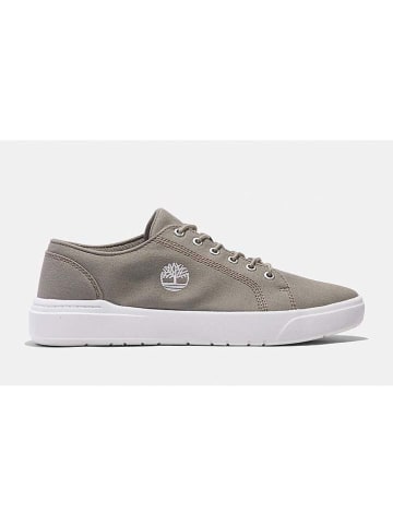 Timberland Sneakers "Seneca Bay" in Beige