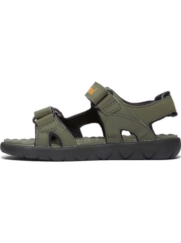 Timberland Sandalen "Perkins Row" kaki