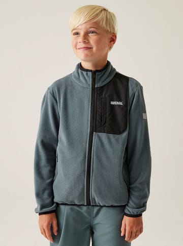 Regatta Fleece vest "Frankie" grijs