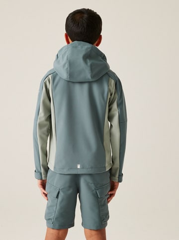 Regatta Softshelljas "AcidityVIII'' grijs