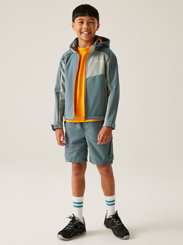 Regatta Softshelljas "AcidityVIII'' grijs
