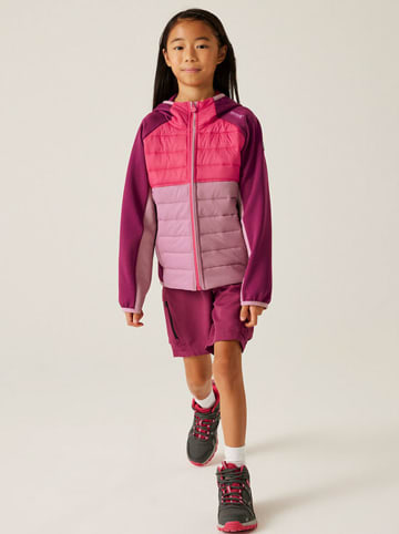 Regatta Hybride jas "HybridIXL" paars/roze