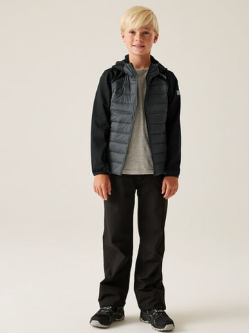 Regatta Hybride jas "HybridIX" grijs/zwart
