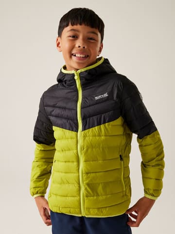 Regatta Steppjacke ''Hillpack III'' in Grün
