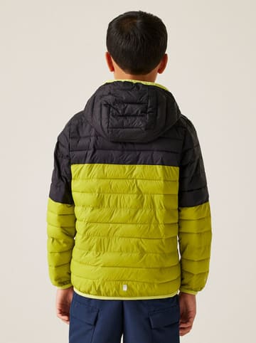 Regatta Steppjacke ''Hillpack III'' in Grün
