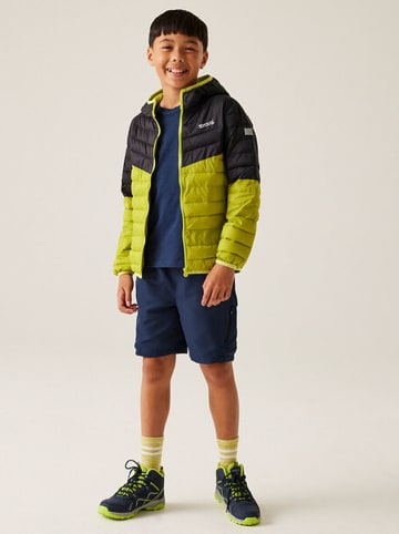Regatta Steppjacke ''Hillpack III'' in Grün