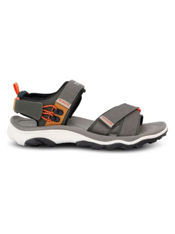 Regatta Sandalen ''Blaze'' in Beige