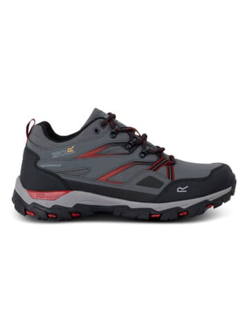 Regatta Wanderschuhe ''Holcombe III'' in Grau