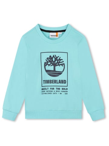 Timberland Sweatshirt in Hellblau