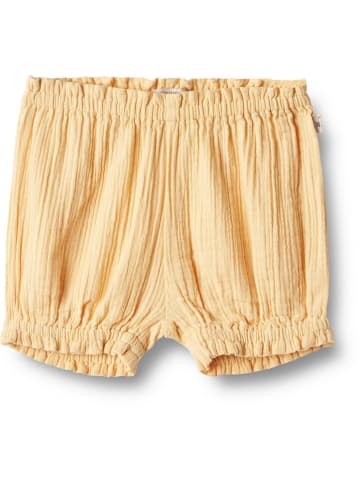 Wheat Short oranje