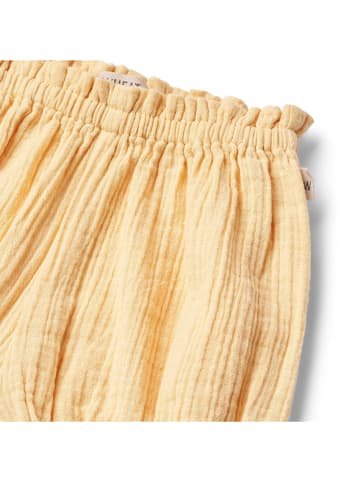 Wheat Shorts in Orange