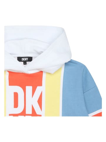 DKNY Hoodie in Bunt