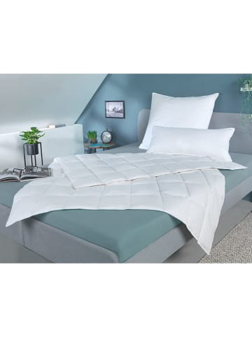 Häussling Bettwaren Donsdekbed "Home" wit