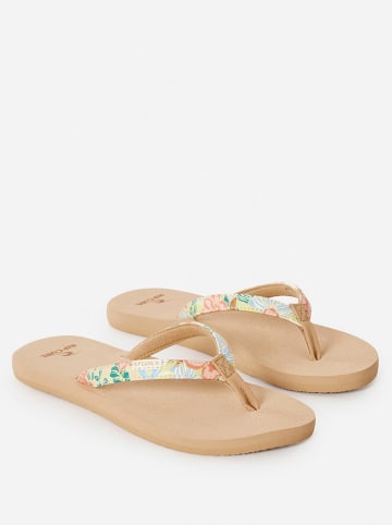 Rip Curl Zehentrenner in Beige