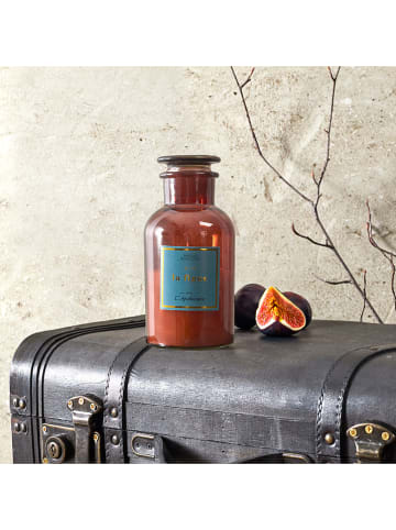 THE HOME DECO FACTORY Geurkaars oranje - 520 g (verrassingsproduct)