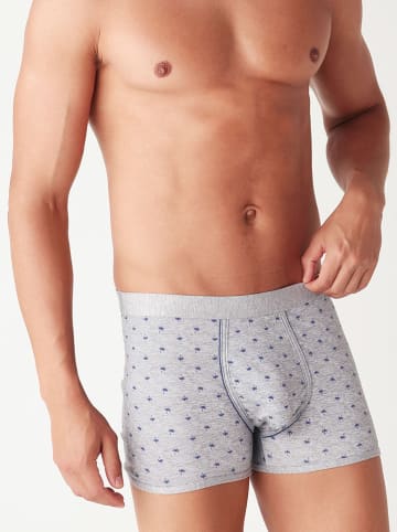 COTONELLA Boxershorts grijs