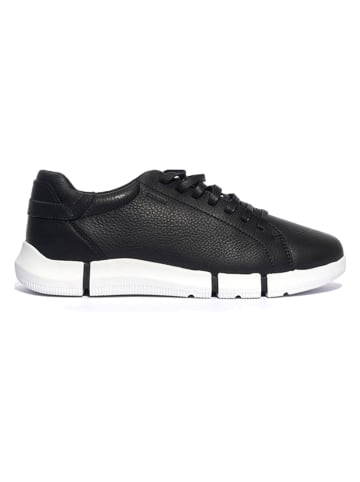 Geox Leder-Sneakers "Adacter" in Schwarz