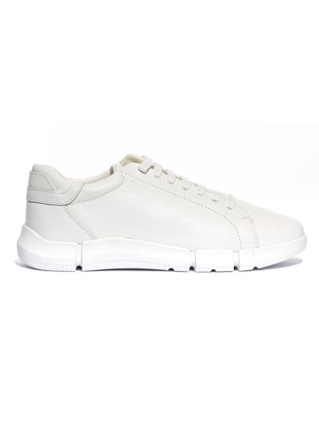 Geox Leder-Sneakers "Adacter" in Creme
