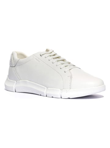 Geox Skórzane sneakersy "Adacter" w kolorze kremowym