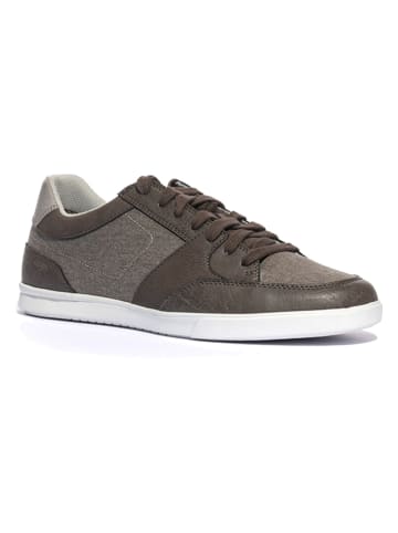 Geox Sneakers "Walee" in Grau