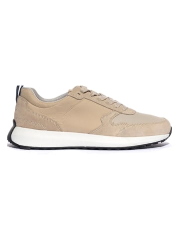 Geox Leder-Sneakers "Volpiano" in Beige