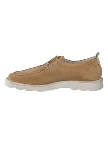 Paul Green Leder-Schnürschuhe in Hellbraun