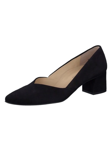 Paul Green Leder-Pumps in Schwarz