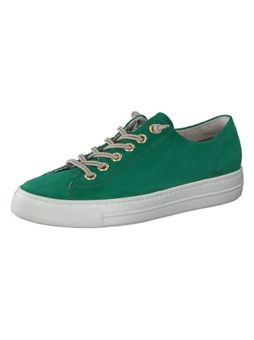 Paul Green Leder-Sneakers in Grün