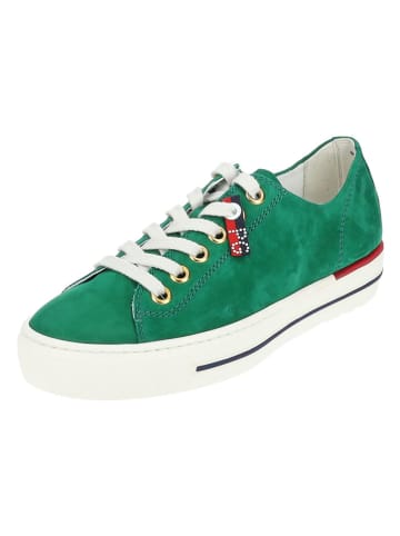 Paul Green Leder-Sneakers in Grün