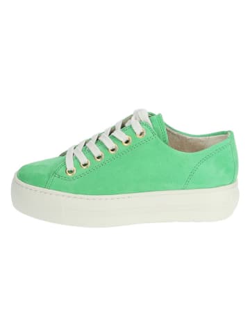 Paul Green Leder-Sneakers in Grün