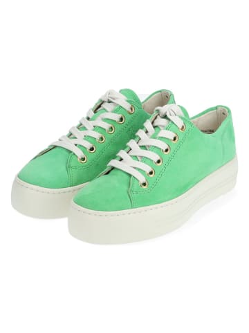 Paul Green Leder-Sneakers in Grün