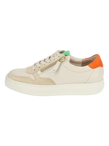 Paul Green Leder-Sneakers in Beige