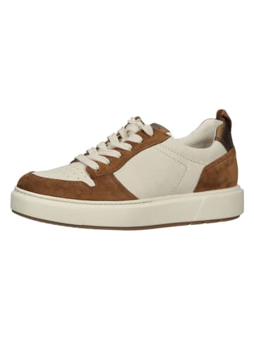 Paul Green Leder-Sneakers in Beige/ Braun