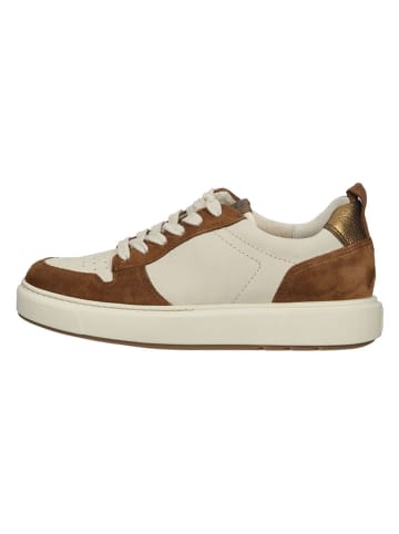 Paul Green Leder-Sneakers in Beige/ Braun