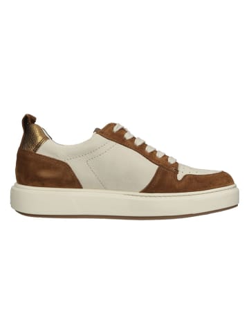 Paul Green Leder-Sneakers in Beige/ Braun