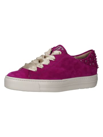 Paul Green Sneakers in Pink