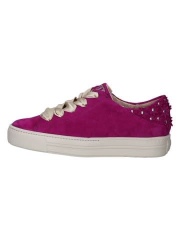 Paul Green Sneakers in Pink