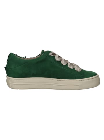 Paul Green Sneakers in Grün
