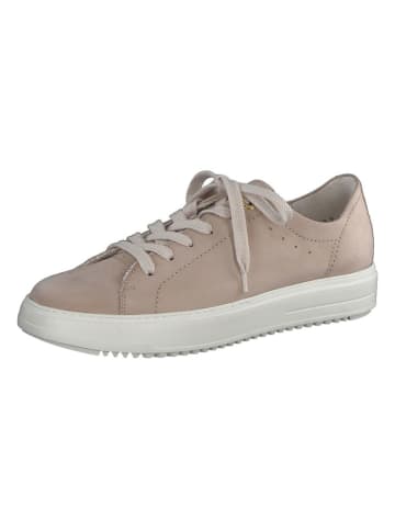 Paul Green Leder-Sneakers in Hellbraun