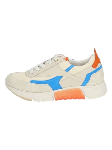 Paul Green Leder-Sneakers in Beige/ Hellblau