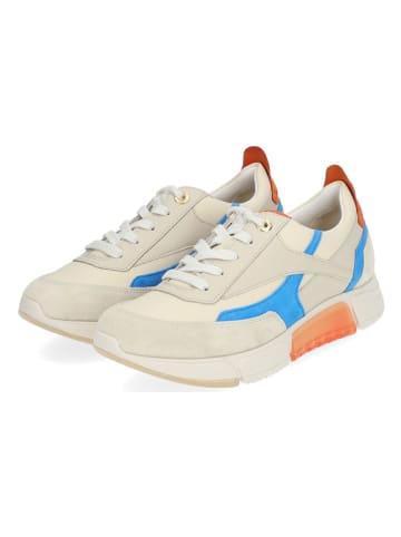 Paul Green Leder-Sneakers in Beige/ Hellblau