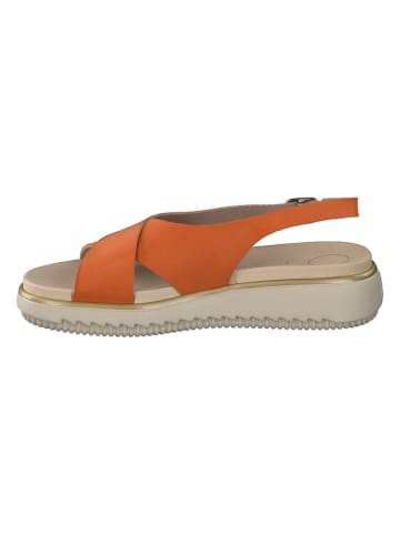 Paul Green Leder-Sandaletten in Orange