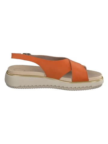 Paul Green Leder-Sandaletten in Orange