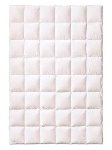 Sanders-Kauffmann Ganzjahres-Daunendecke "Weidegans" in Weiß - (L)220 x (B)155 cm