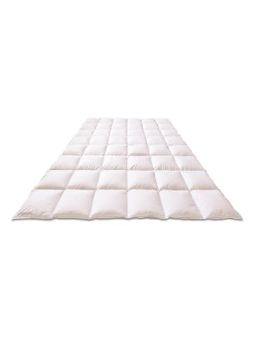 Sanders-Kauffmann Ganzjahres-Daunendecke "Weidegans" in Weiß - (L)220 x (B)155 cm