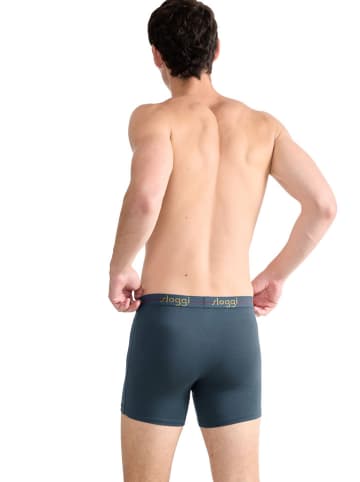 Sloggi 2er Set: Boxershorts in Grau/ Petrol