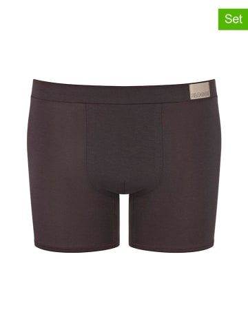 Sloggi 2er Set: Boxershorts in Braun/ Khaki